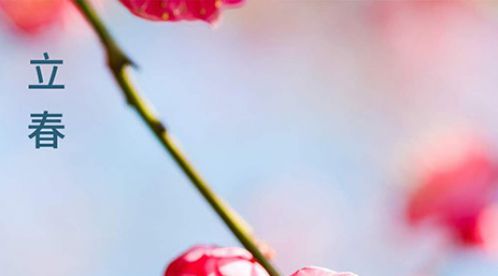[立春]是新一年的開始-祝您虎年旺旺旺【杭州易造】