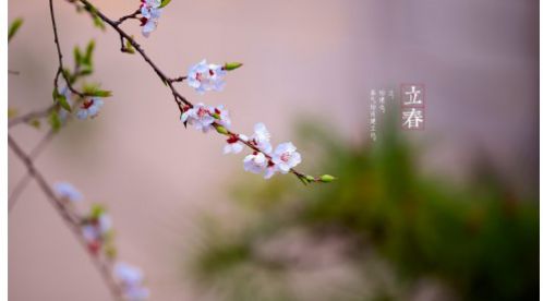 立春|一年四季春為首,莫負(fù)春日好時(shí)光——【易造科技】 立春|一年四季春為首,莫負(fù)春日好時(shí)光——【易造科技】