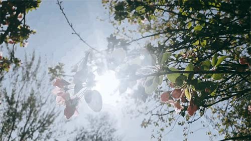 三八婦女節(jié)丨祝所有女神:愿你笑靨如花,一生不減芳華-杭州易造 三八婦女節(jié)丨祝所有女神:愿你笑靨如花,一生不減芳華-杭州易造