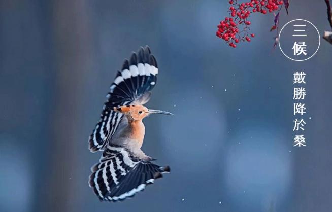 谷雨|雨生百谷,萬象更新 谷雨|雨生百谷,萬象更新