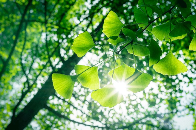 立夏六|春光忽盡,夏木成陰【杭州易造】 立夏六|春光忽盡,夏木成陰【杭州易造】