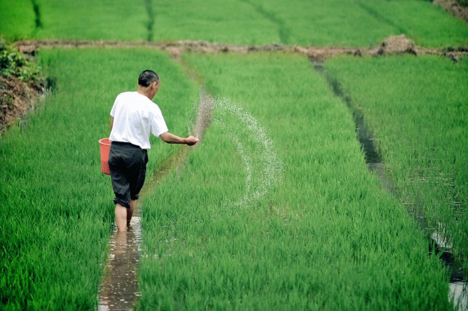立夏六｜春光忽盡，夏木成陰【杭州易造】