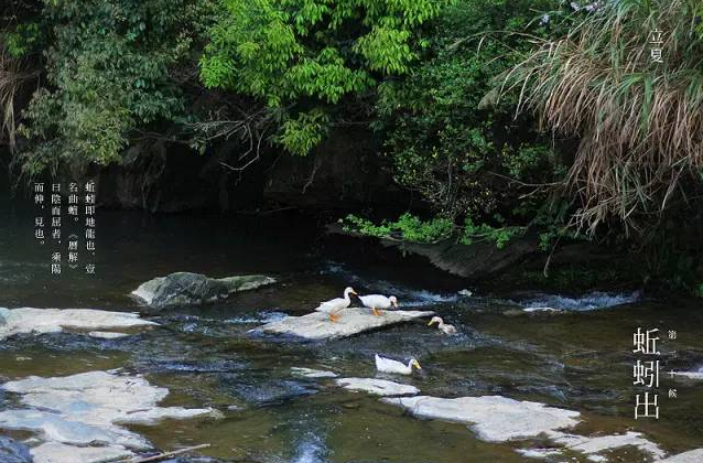 立夏六|春光忽盡,夏木成陰【杭州易造】 立夏六|春光忽盡,夏木成陰【杭州易造】