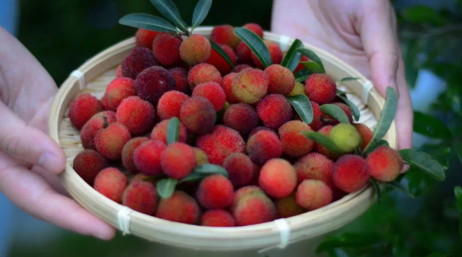 立夏六|春光忽盡,夏木成陰【杭州易造】 立夏六|春光忽盡,夏木成陰【杭州易造】