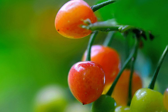 立夏六|春光忽盡,夏木成陰【杭州易造】 立夏六|春光忽盡,夏木成陰【杭州易造】