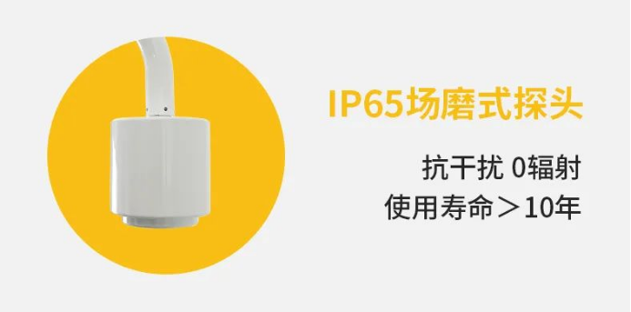 雷電預(yù)警系統(tǒng)-IP65場磨式探頭 雷電預(yù)警系統(tǒng)-IP65場磨式探頭