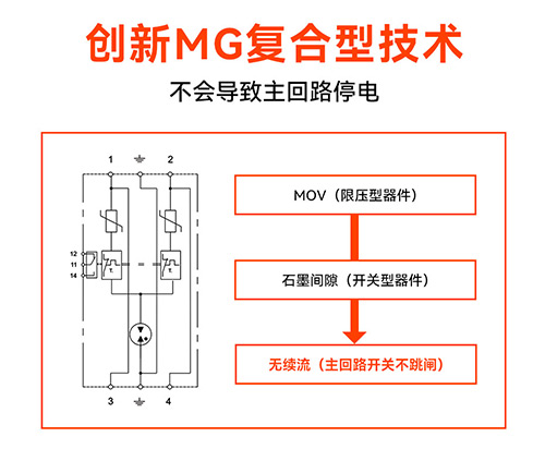 浪涌保護器廠家-復合型 浪涌保護器廠家-復合型