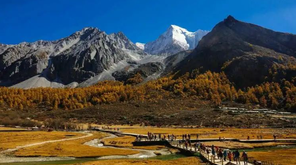 浪涌后備保護器