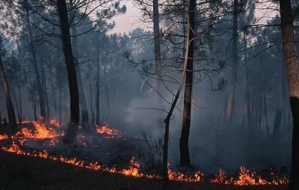 景區雷電預警系統